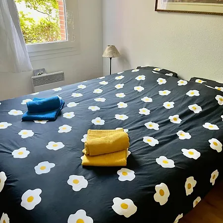 Agreable T2 Quartier Saint Martin Du Touch Toulouse